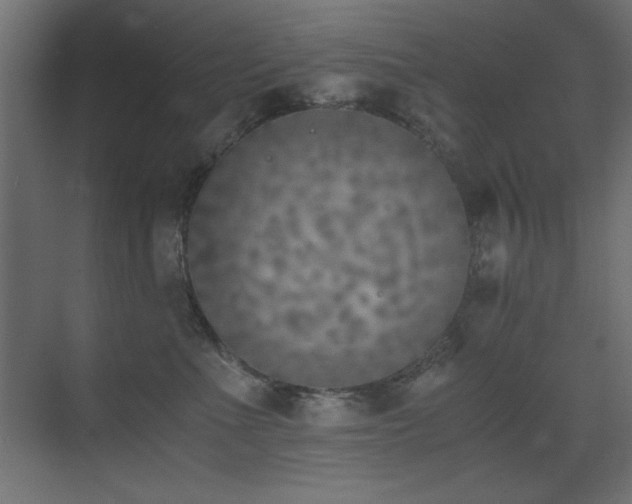 X0000073450523200607281224