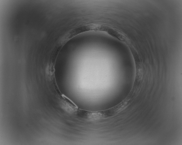 X0000073450525200607281224