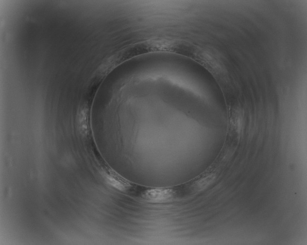 X0000073450526200607281224