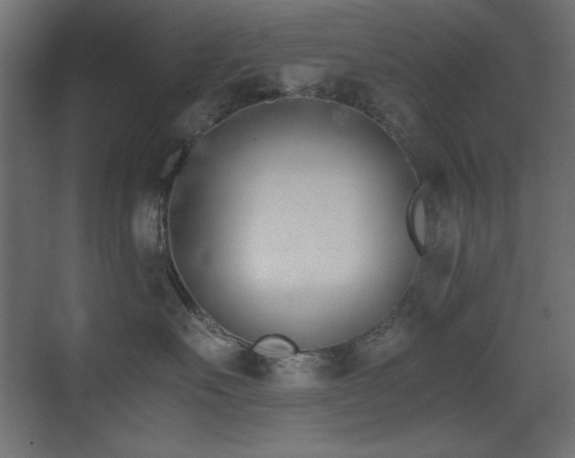 X0000073450527200607281224