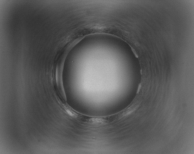 X0000073450528200607281224