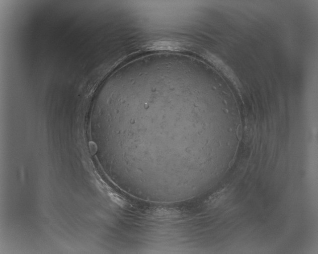 X0000073450529200607281223