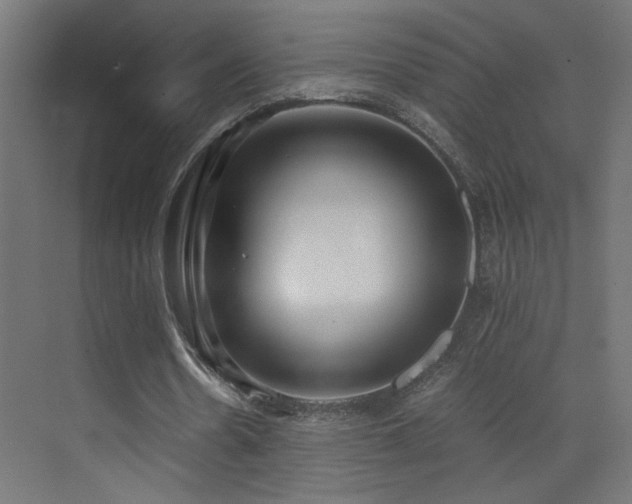 X0000073450530200607281223