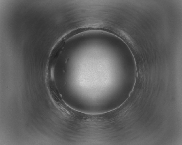 X0000073450532200607281223