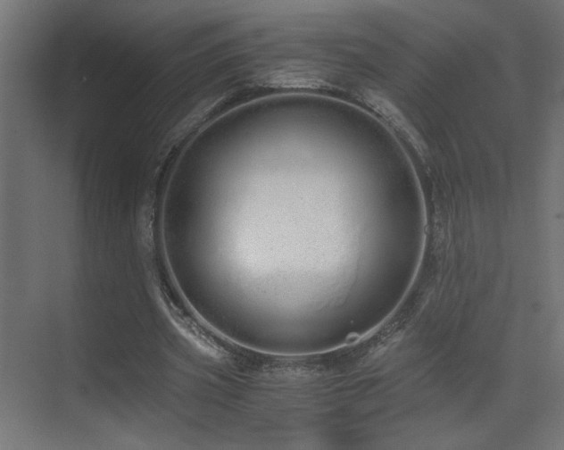 X0000073450533200607281223