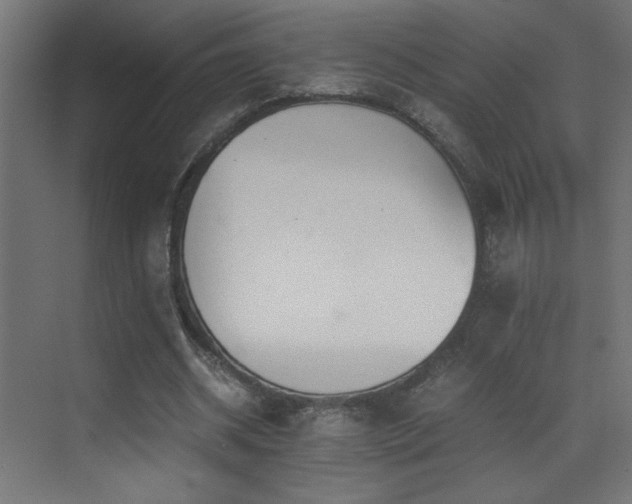 X0000073450534200607281223