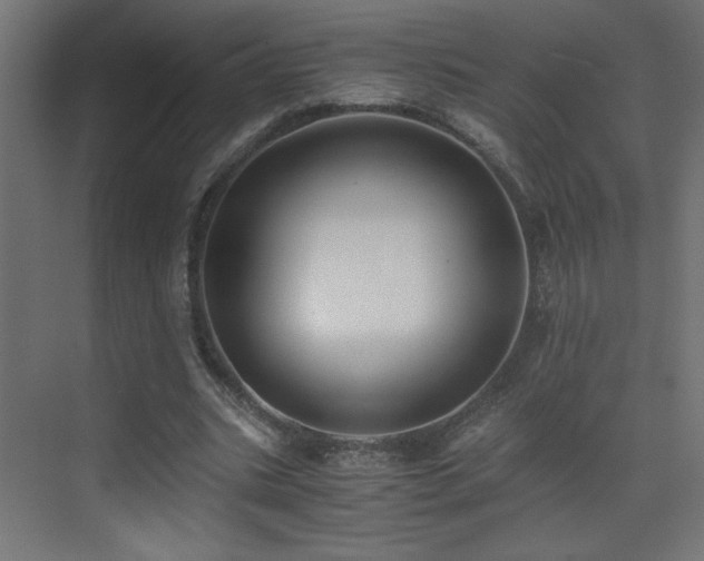 X0000073450535200607281223