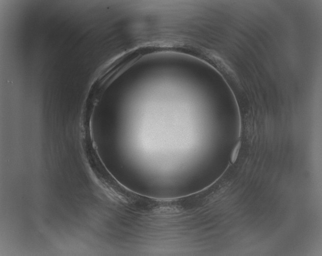 X0000073450536200607281223