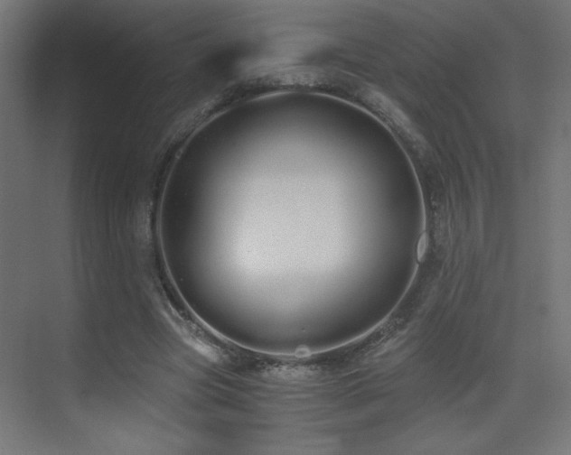 X0000073450537200607281223