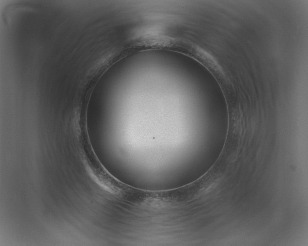 X0000073450538200607281223