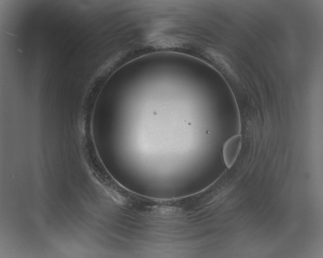 X0000073450539200607281223