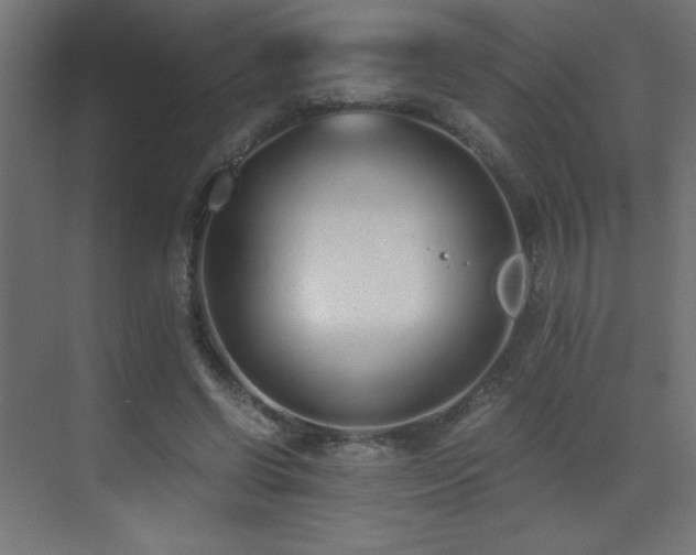 X0000073450542200607281223