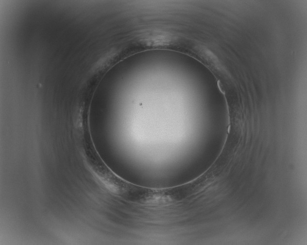 X0000073450543200607281223