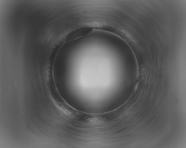 X0000073450544200607281223