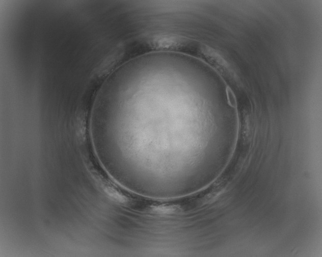 X0000073450545200607281223