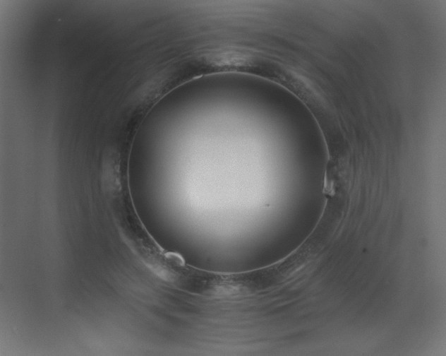 X0000073450547200607281224