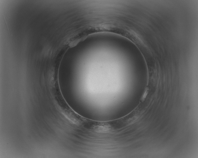 X0000073450548200607281224