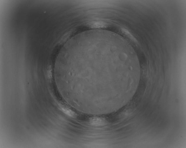 X0000073450549200607281224