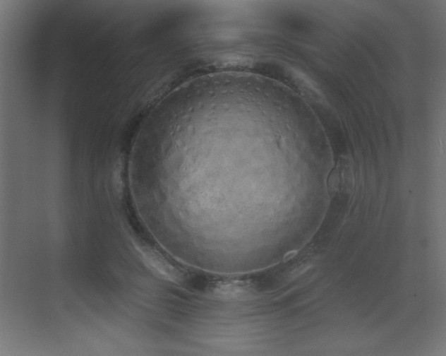 X0000073450550200607281224