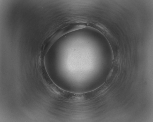 X0000073450552200607281224