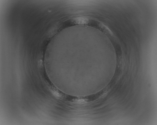 X0000073450553200607281224