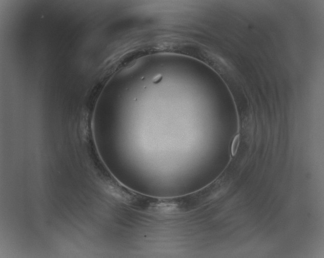 X0000073450554200607281224