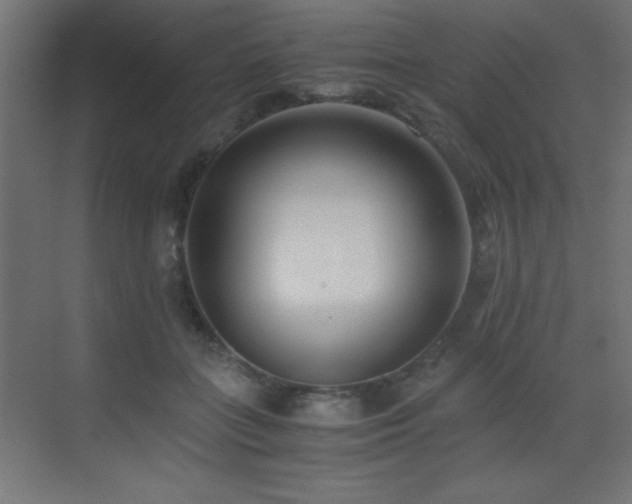 X0000073450555200607281224