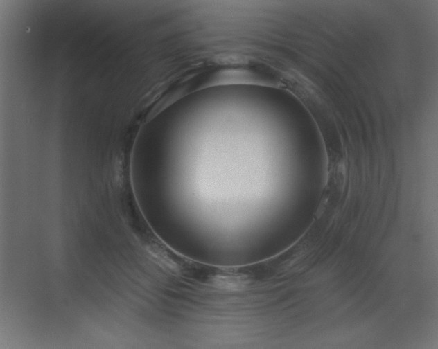 X0000073450556200607281224