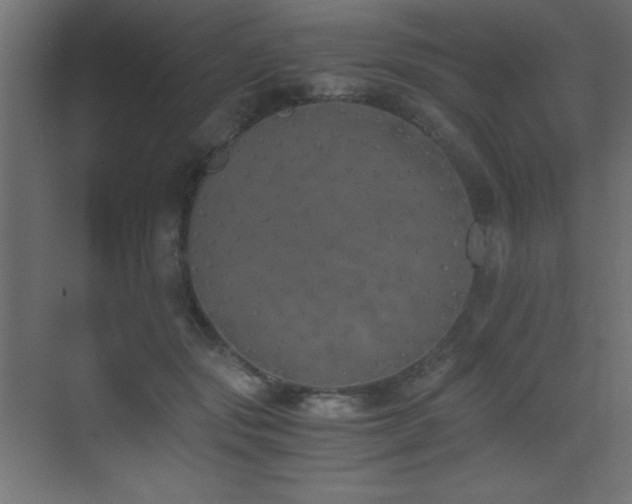 X0000073450557200607281224