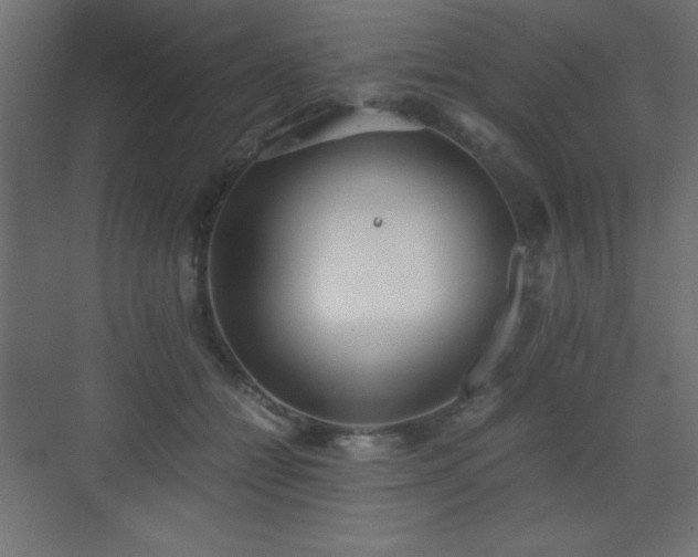 X0000073450558200607281224