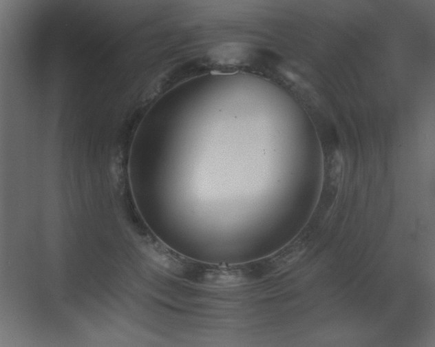 X0000073450559200607281224