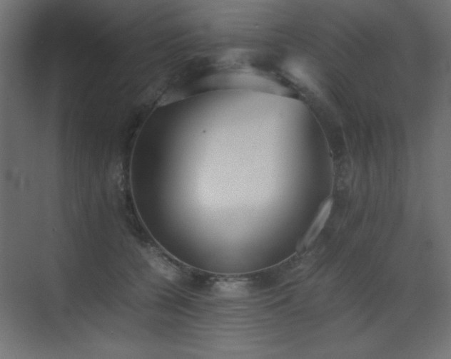 X0000073450560200607281224