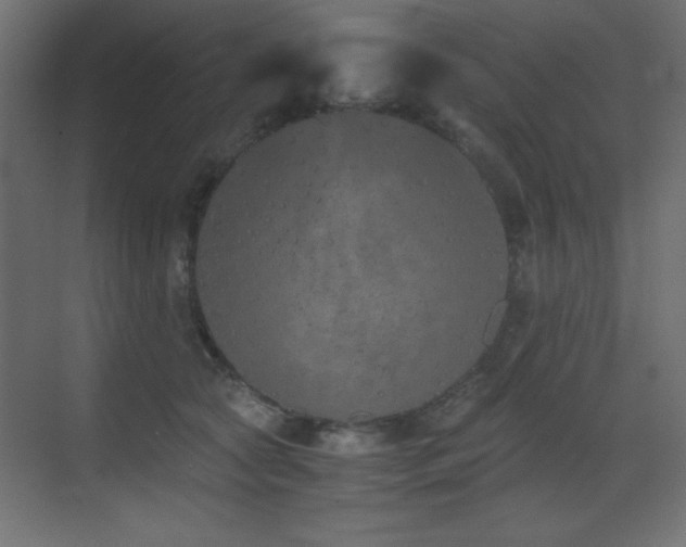 X0000073450561200607281224