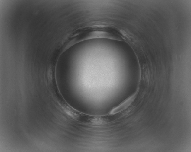 X0000073450562200607281224