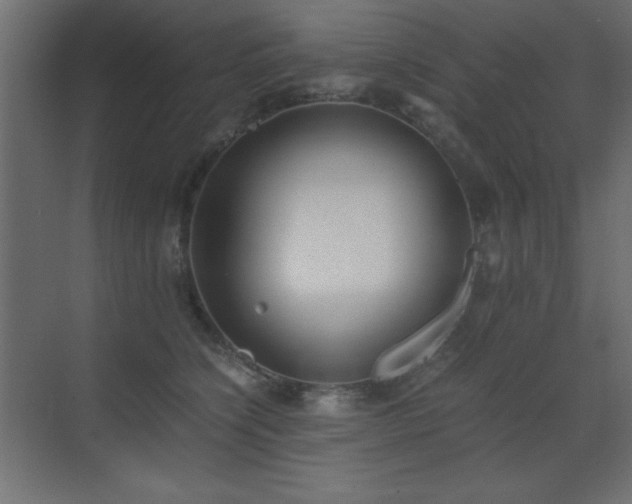 X0000073450564200607281224