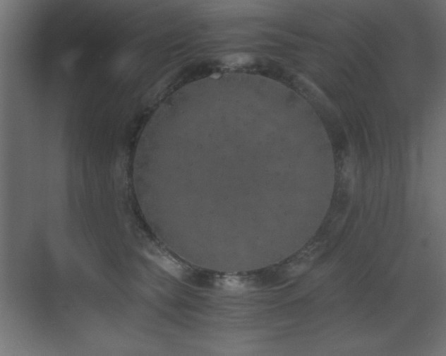 X0000073450565200607281224