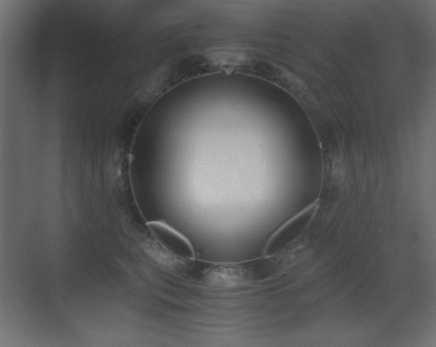 X0000073450567200607281224