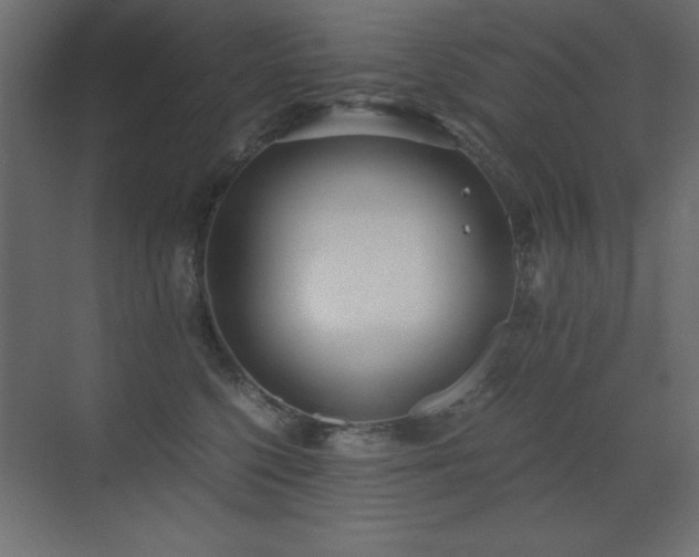 X0000073450568200607281224