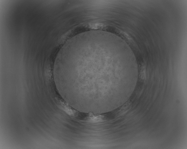 X0000073450569200607281224