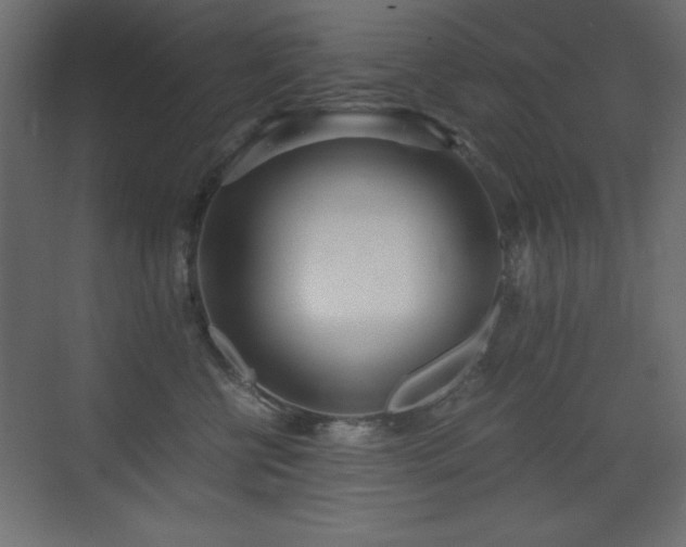 X0000073450570200607281224