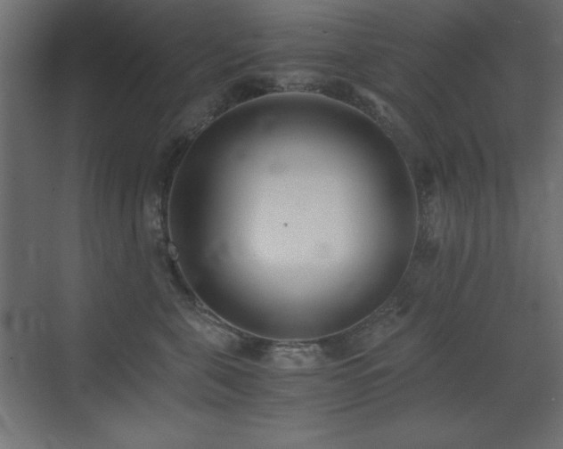 X0000073450571200607281224