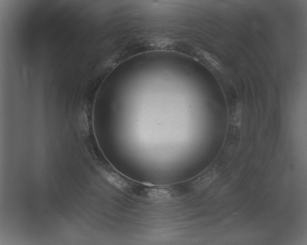 X0000073450572200607281224