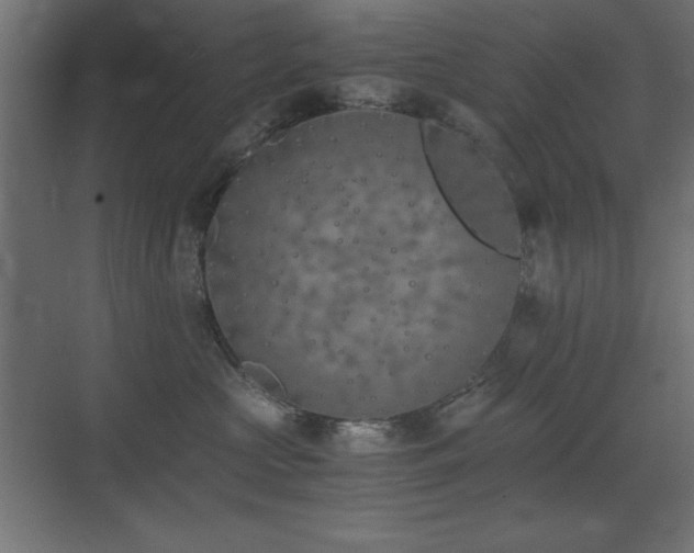 X0000073450573200607281224