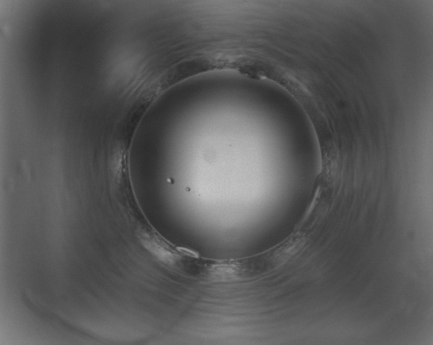 X0000073450574200607281224