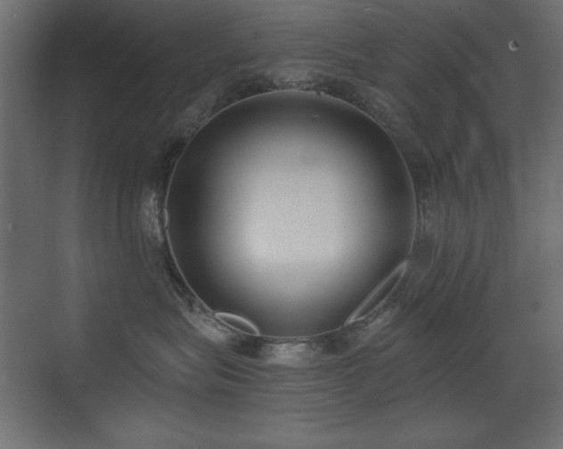 X0000073450575200607281224