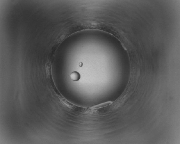 X0000073450576200607281224