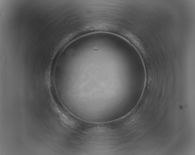 X0000073450578200607281223