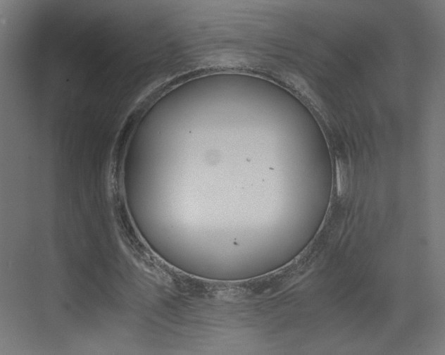 X0000073450579200607281223