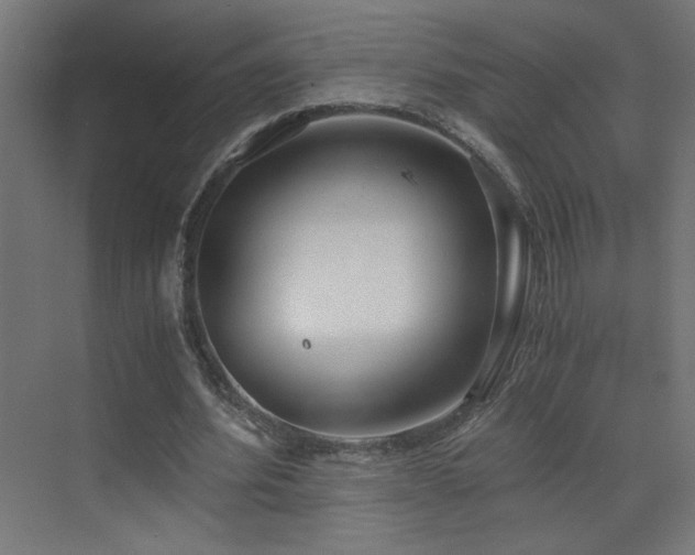 X0000073450580200607281223