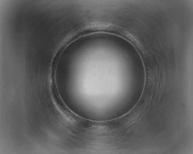 X0000073450582200607281223